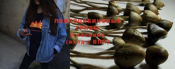 мяу мяу мука Абинск