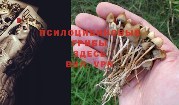 ГАЛЛЮЦИНОГЕННЫЕ ГРИБЫ Абаза
