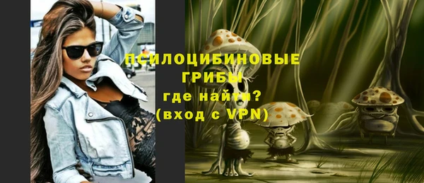 ГАЛЛЮЦИНОГЕННЫЕ ГРИБЫ Абаза