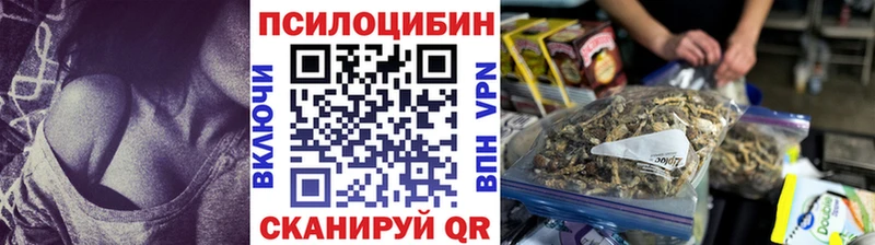 дарнет шоп  Сергач  кракен вход  Галлюциногенные грибы Psilocybe 