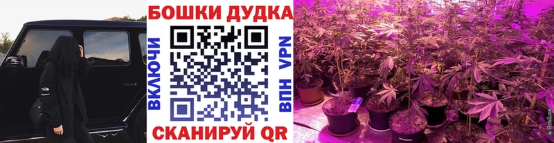 Бошки Шишки гибрид  Сергач 